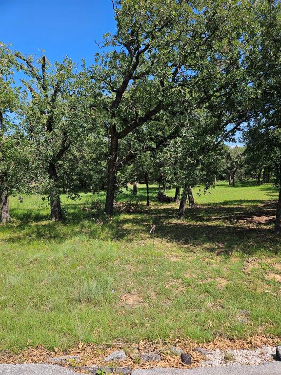 PRICE REDUCTION!   and MOTIVATED SELLER!  Just over a half acre this cleared treed parcel is ready to build on with room for Dad's Shop and a family pool besides the single story residence.  Property is minutes away from Lake Bridgeport with lake access through areas in Runaway Bay.  Pictures don't do justice for this property that has been cleared out for your new home with city services.  Located approximately 45 minutes from the DFW area and Fort Worth yet close enough to a major highway that is convenient to shopping and restaurants.  It's a Lovely, lovely lot that is Awesome!