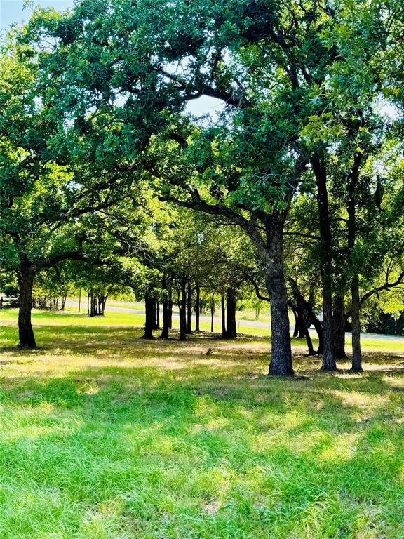 The beautiful double lots are located in White Bluff Resort. 14004 & 14005 Sandy Oaks Drive. The land has been prepped for building your dream home. Located on the #4 fairway of the Old Course. It's a little over a half-acre total with selected trees remaining to provide beauty and shade. All amenities transfer with the sale of the property. 72 rounds of golf a year, excluding cart come with the property. Two 18-hole Texas Premier golf courses, four swimming pools, tennis & pickleball courts, playground, marina, two boat ramps, restaurant, spa, fitness center, volunteer fire department, conference center & hotel. Nestled in a secured gated community that is surrounded by breathtaking Lake Whitney.