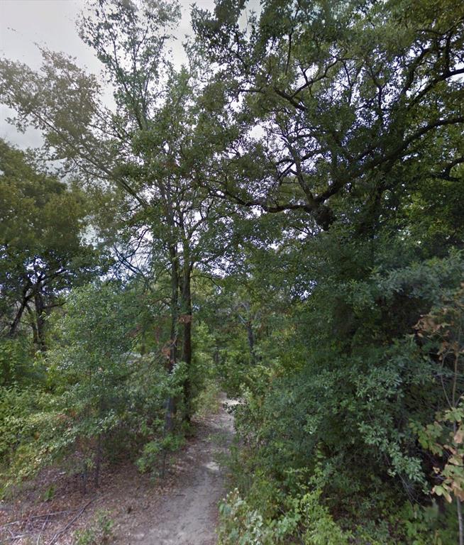 Ready to Build on Cedar Creek Lake, Cherokee Shores Gem!
Don't miss this opportunity to own a residential lot in the sought-after Cherokee Shores subdivision just minutes from Cedar Creek Lake! This lot offers a great canvas for your site-built home, manufactured home, or weekend getaway. Water, sewer, and electricity are available at the road , making it easy to get started on your build. Cherokee Shores features community amenities including parks, a pool, and a boat ramp  ? perfect for families and outdoor enthusiasts. Conveniently located on the east side of the lake, you're just a short drive to Eustace, Mabank, and Gun Barrel City, and only about an hour from the Dallas, Fort Worth Metroplex.  Whether you're looking for a full-time residence or a lakeside retreat, this lot checks all the boxes.