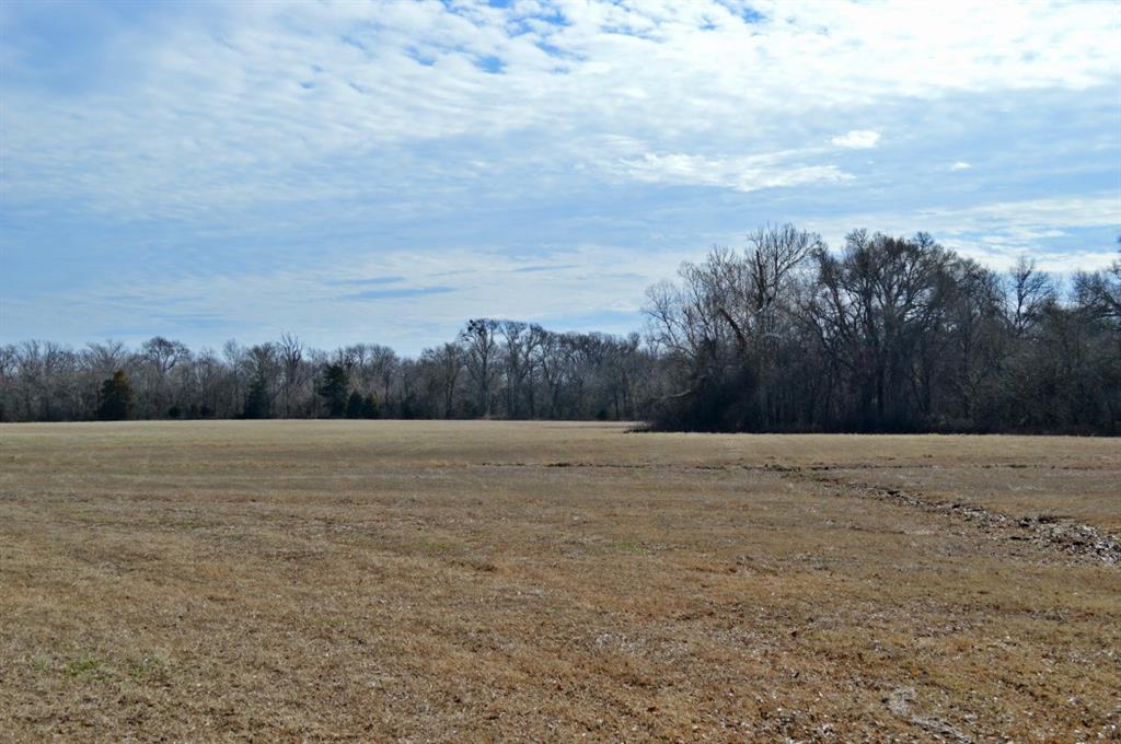 Strickland - Farm