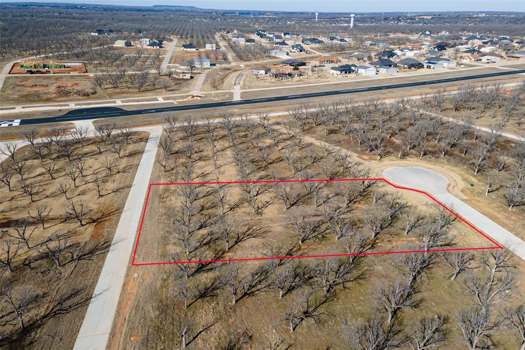 Pecan Plantation - Land