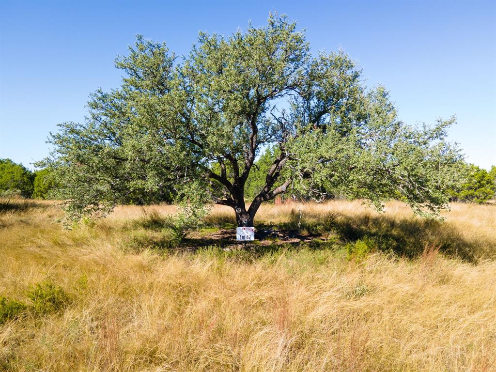 Buffalo Crk Ranch - Land