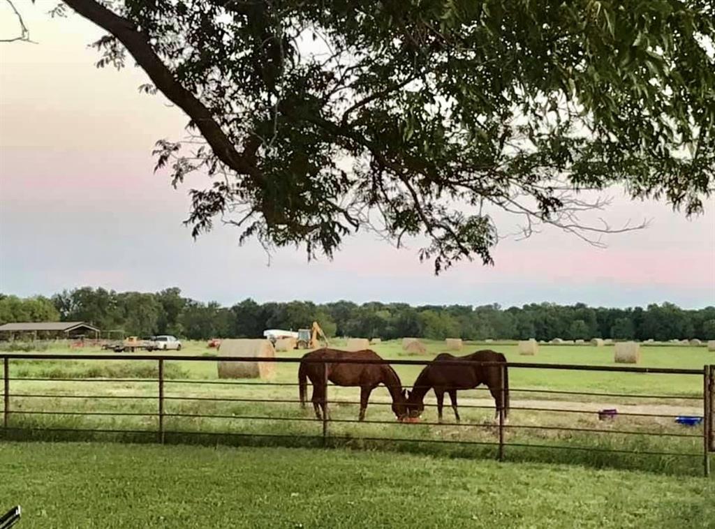 Equestrian and cattle ranchers dream! This beautiful North East TX ranch consists of 330 acres of lush native grasses perfect for running cattle and or hay production. Covered cattle working pens and 6 pastures are cross fenced for rotational grazing. It is currently running 120 head of cows. There is a large 30 x 40 shop with a 20’ overhang for equipment storage. Seven ponds provide ample water along with water fowl hunting and bass fishing. Plenty of deer and hogs on the property as well.

The heart of the ranch features a premier horse training or boarding facility. A 100 x 225’ fully lighted covered arena allows for riding day or night, rain or shine. Connected to the arena is a covered 30 x 225 covered barn complete with 9 pipe pens and automatic water. There are also four 1-acre turnout pastures, two 2-acre turnouts and all have covered sheds and auto water.

The ranch boasts three houses. The first is the homestead ranch house that is approximately 1700 sq ft, 3 bed, 1 bath with a beautiful yard and mature pecan trees. The second is a 2019, 1400 sq ft 3bed, 2bath farm style manufactured home. And the third is a newly built 1200 sq ft 2bed, 1 bath barndominium style home. Plenty of room for a family business or rent the houses for added income. This property is a must see and truly one of a kind!

An additional 112 acres with two ponds may be purchased separately.

Conveniently located 20 minutes south of Paris and 80 miles north of Dallas