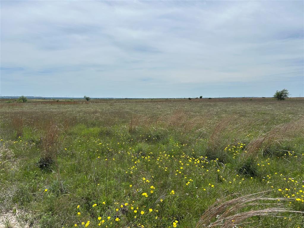 Paloma Vista - Land