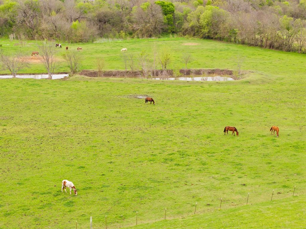 Mattox Ranch - Residential