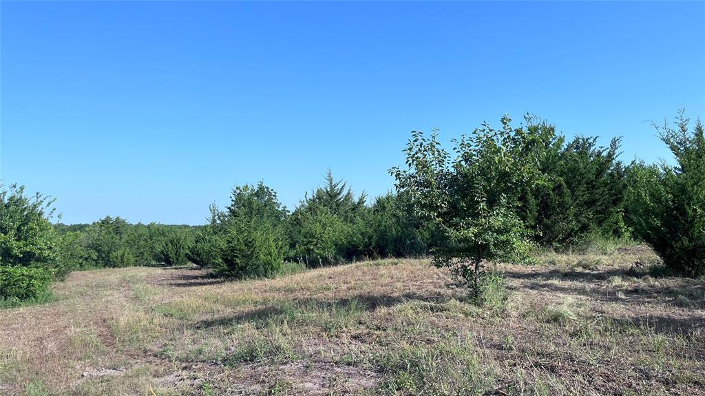 H Kattenhorn Surv A-672 - Land