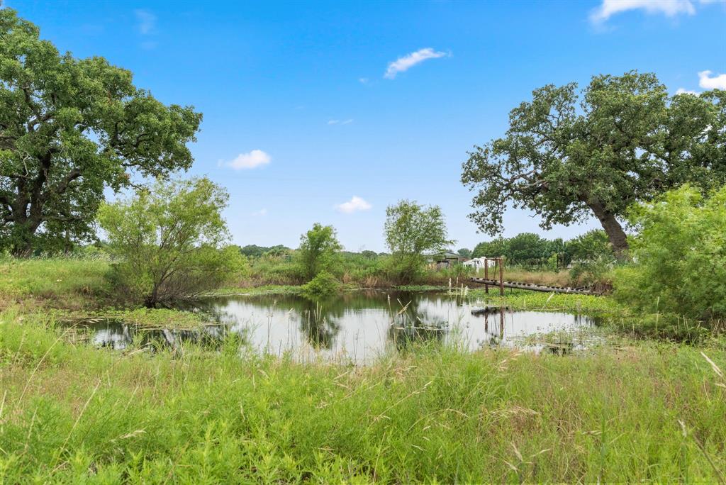 Fairview - Farm