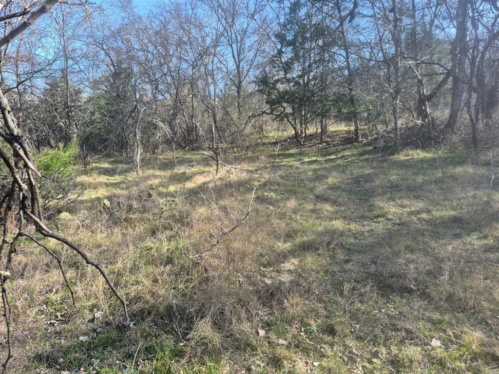 Escape to the woods with this 6.5-acre heavily wooded tract, perfect for those who crave the outdoors. Property offers privacy and excellent habitat for wildlife, while a seasonal creek cuts through the property, creating a natural draw for game and a peaceful spot to unwind. Whether you’re looking for a hunting getaway, weekend camp, this land delivers the sights, sounds, and solitude of the great outdoors.