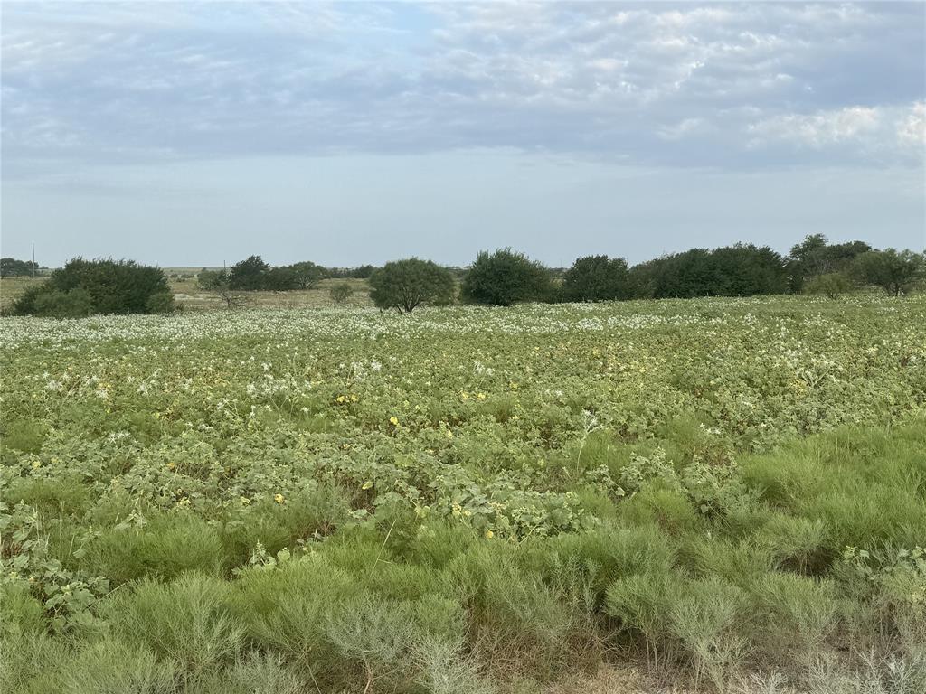 Mabel Estates Ph 2 - Land