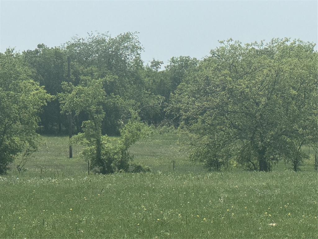 Mabel Estates Ph 2 - Land