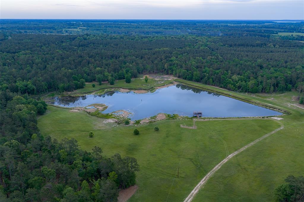 Located in highly desirable Panola County, this 377± acre ranch sits between Carthage and Henderson with convenient access to both towns in approximately 15 minutes. Positioned in a quiet rural setting surrounded by large ranches, the property offers privacy and long-term stability, with easy access to Tyler, Longview, and Shreveport. Additional acreage is available, including an adjoining 150± acre tract, allowing for expansion up to 527± acres or more.

The land features a diverse mix of mature native hardwoods and managed pine timber, recently thinned for the first time in nearly 30 years. Prescribed burns and a no-spray approach have preserved native species, resulting in excellent habitat and strong biodiversity. Gently rolling terrain provides scenic elevation changes, with the main home set on a hill overlooking pasture, timber, and water.

Water is a standout feature, highlighted by an approximately 8.5-acre stocked lake with fishing pier and electricity, supported by a high-capacity 500-ft well producing ~70 GPM. Additional water includes four ponds, two creeks, and natural springs, providing consistent water sources and potential income from water sales.

Improvements include a 2,874± sq ft custom brick home (2016) with 3 bedrooms, 3 bathrooms, wide porches, and panoramic views. Outdoor amenities feature a resort-style pool, covered outdoor kitchen, and half bath, ideal for entertaining. Two 30x40 barns with electricity, water, and lean-tos provide ample storage and functionality.

The property supports abundant wildlife including whitetail deer, hogs, and a resident bald eagle. Established trails offer easy access throughout for hunting and recreation. Pastures are seasonally planted for forage and hay production.

Large, improved tracts of this caliber are rare in Panola County. No oil or gas activity. Additional acreage available. Buyer to verify all information.
