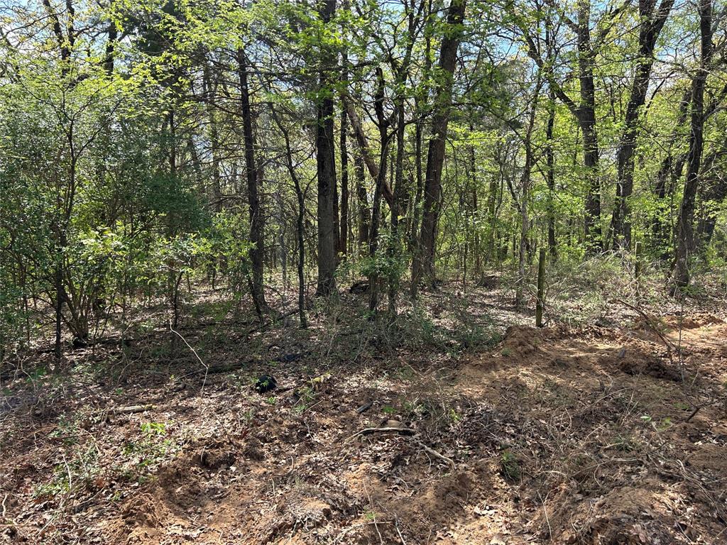 4.02 acres of land that has recently been cleared out NOT in the city limits. You will not find another piece of property like this. Nothing behind you so it feels likes way more than 4 acres. Come with a vision that you can create on this piece of property. Tons of trees!!! Survey is attached.
