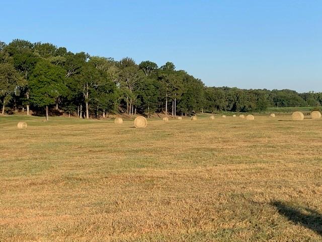 Rural - Land