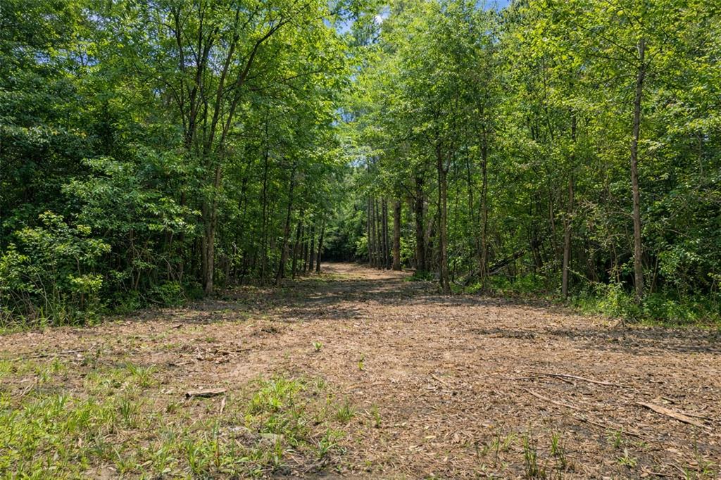 A100375 A0375 T Green - Land