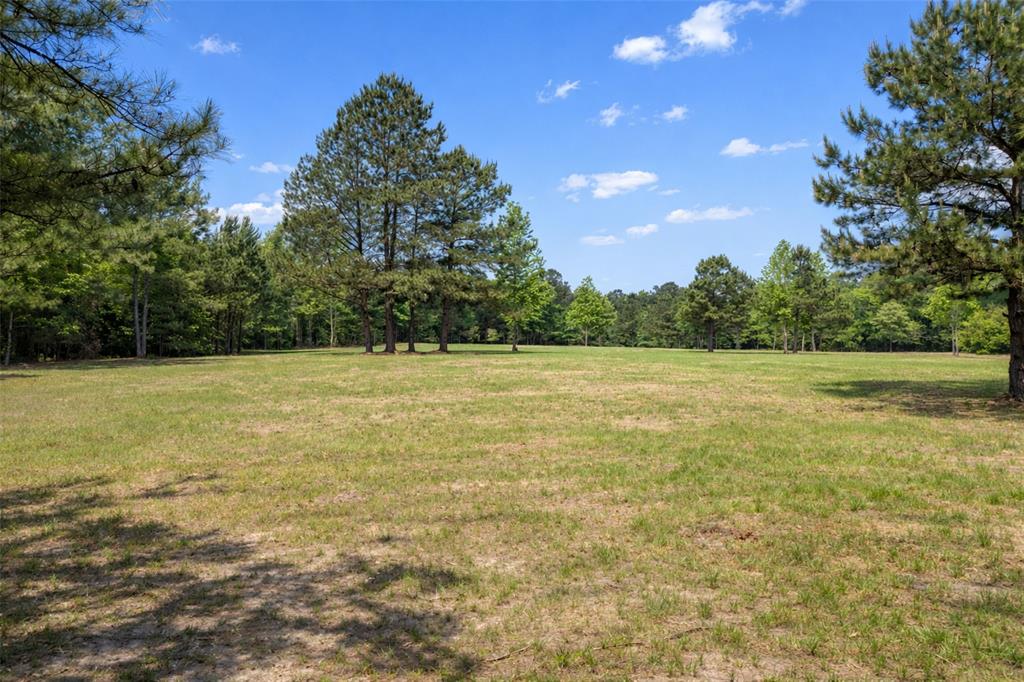 A100375 A0375 T Green - Land