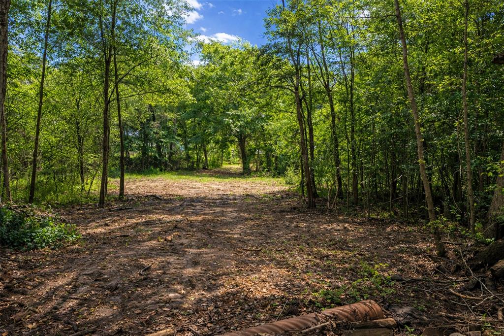 A100375 A0375 T Green - Land