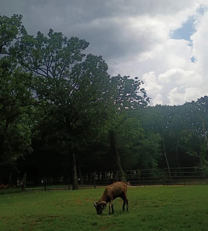 Big Oaks - Residential
