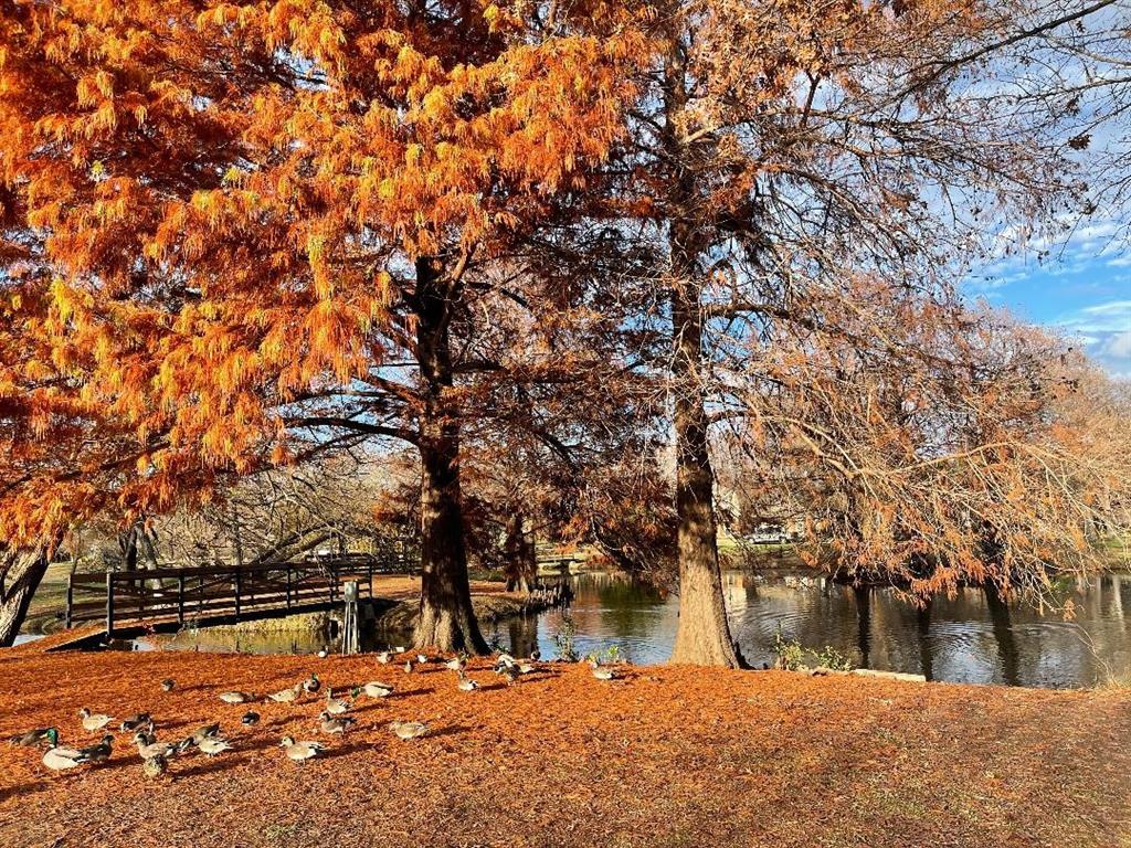 Regency Park 2 - Residential Lease