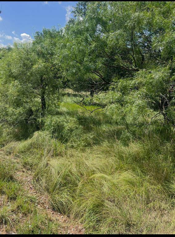 Welcome to the highly sought after location of Oak Point at Lake Brownwood! This is an RV lot in the gated community of Oak Point. Additional lots are available!! Water-related amenities included contain: Boat ramps! Oak Point has multiple boat ramps for easy access to the lake. Swimming beach! A community swimming beach provides a designated area for swimming and relaxation. Fishing areas! The lake offers opportunities for fishing. Other amenities: Oak Point offers free RV parking for guests. A septic dump station is available for RVs. Oak Point features parks for residents and visitors to enjoy. Also have Tyler Bay close by there is swimming and picnic tables set to enjoy your time! Oak Point is a gated community, providing added security and peace of mind. Residents also have access to a private beach area! Oak Point additionally features private boat ramps for residents. And... Zephyr city water is scheduled to be available in the near future! Do not miss your chance to be a part of this excellent location at Lake Brownwood!