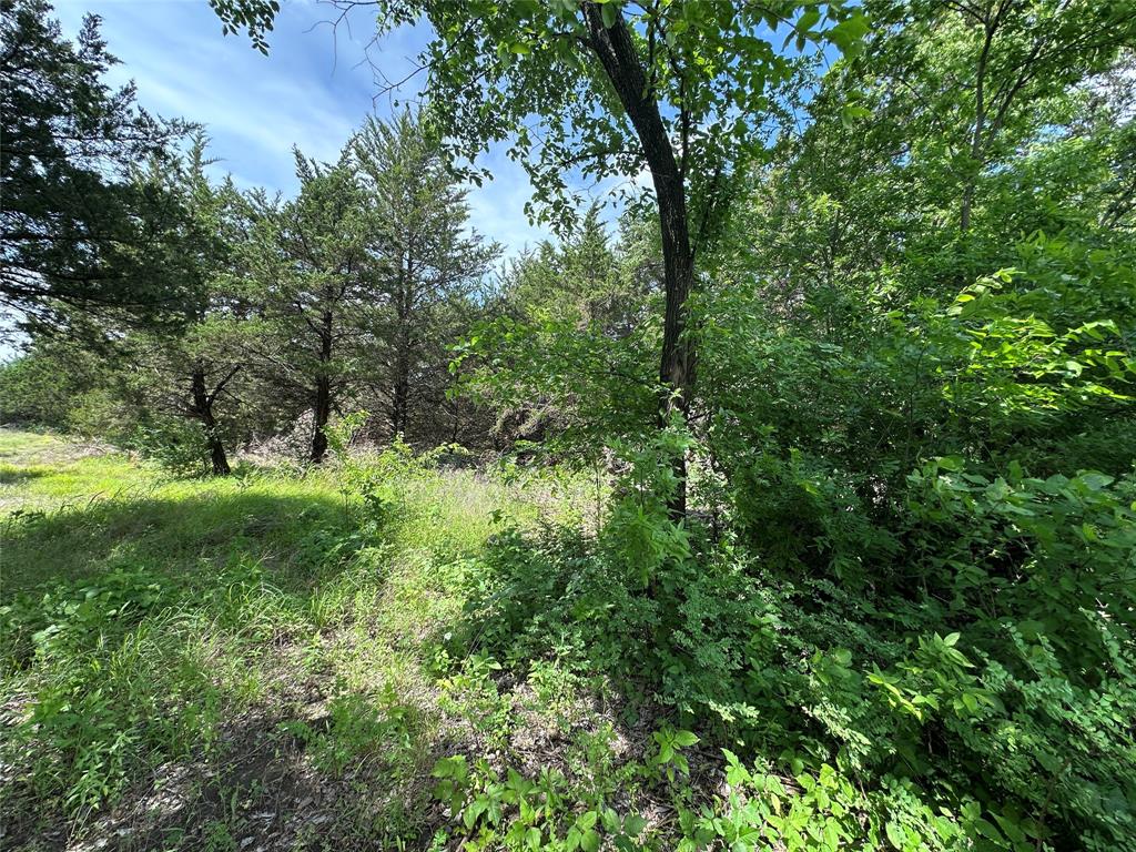 Roaming Deer Estates - Residential