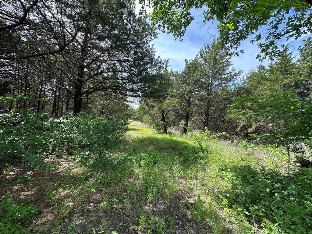Roaming Deer Estates - Residential