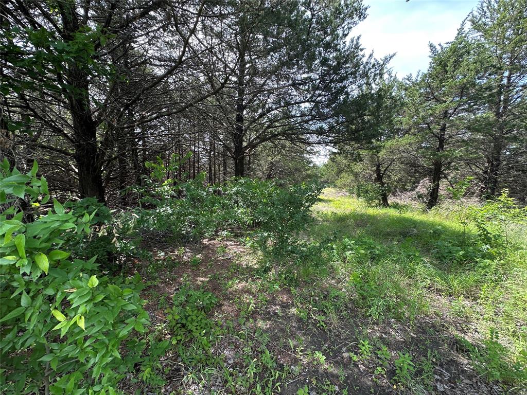 Roaming Deer Estates - Residential