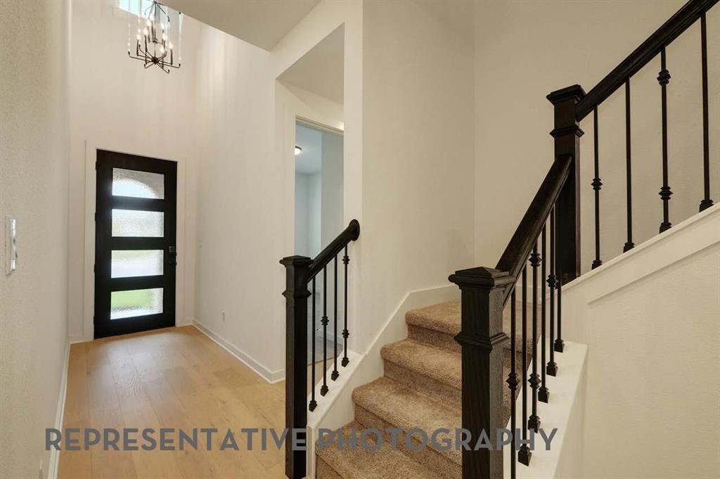 Treeline - Residential