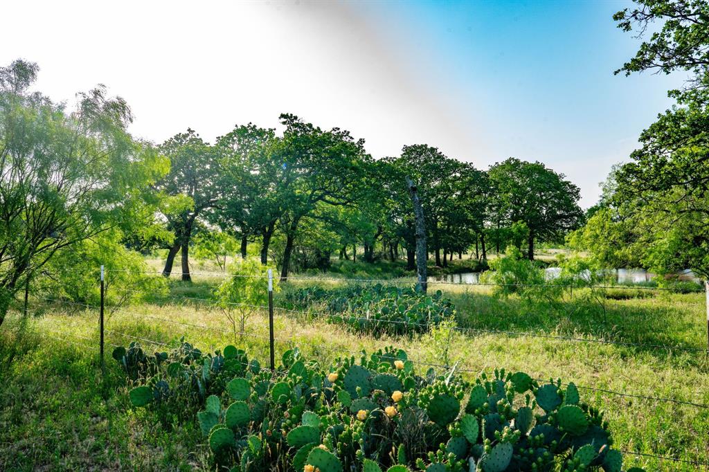 This is a one-of-a-kind property with 503 acres in total, 434 of which is under High fence, and the remaining 69 acres is under low fence, east side of the Creek. The house speaks for itself, Beautiful Kitchen, Fireplace, Game Room in the Loft. Covered Porches and Carport, Storm Cellar. 
This Ranch has 9 ponds, most have fish and have made it through the last drought. Awesome Hunting!!! Over a mile of lost creek, very pretty bottom ground. Lots of Giant Moss Rocks throughout the property. There are roughly 90 acres of cultivated open fields.  These fields are Cross fenced to keep livestock rotating.   This ranch is very cattle friendly around the entire 434 acres, with a 30 FT lane between low and high fence, for easy gathering of livestock. Lots of tree cover, Plentiful in post oaks,Elm, and various hard woods. The road system runs right through the entire ranch.  This is a Diverse Ranch that will not Disappoint. Inquire about Animals and Exotics...
CALL US TODAY!