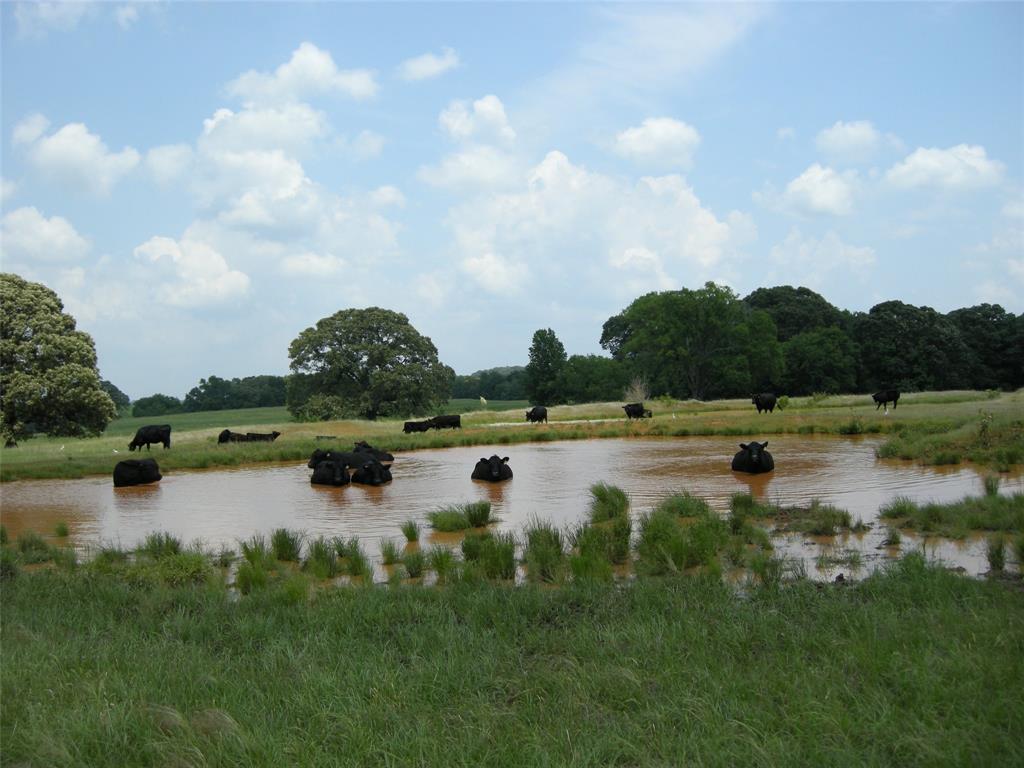 A0860 J SANDERS - Farm
