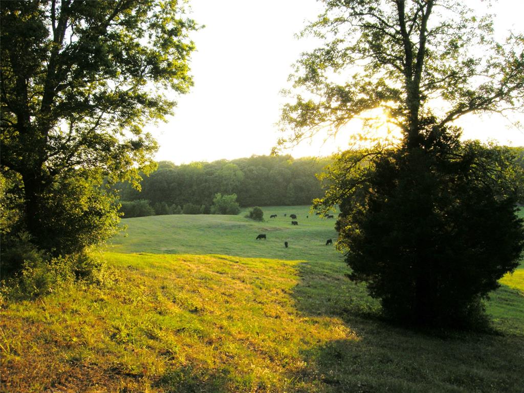 A0860 J SANDERS - Farm