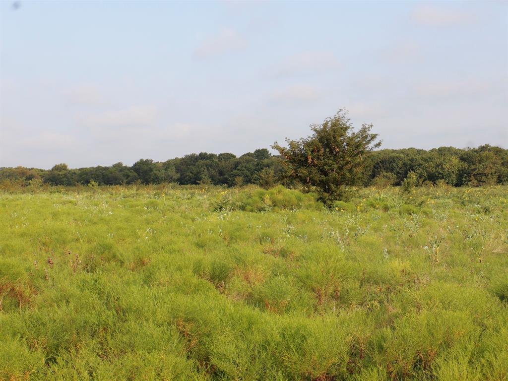 Alsdorf Acres - Land