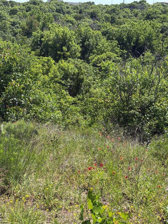 Wilkinson Ridge Preserve - Land
