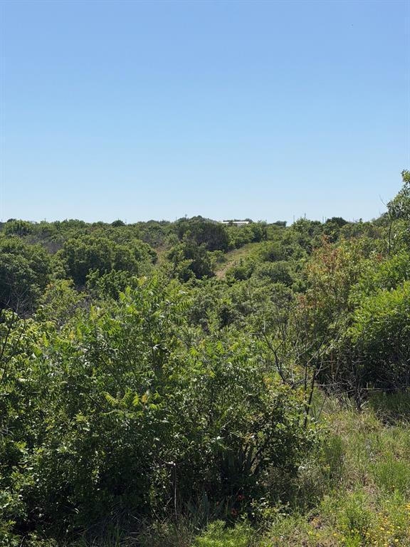 Wilkinson Ridge Preserve - Land