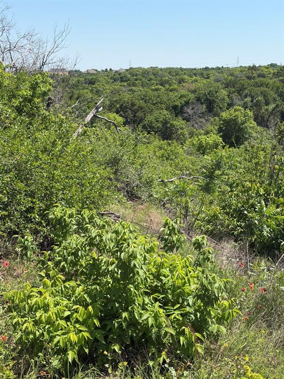 Wilkinson Ridge Preserve - Land