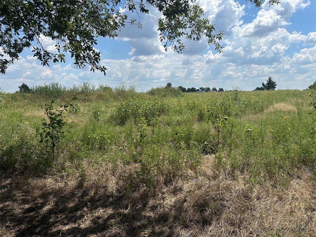 Whitewright Ranch Estates - Land