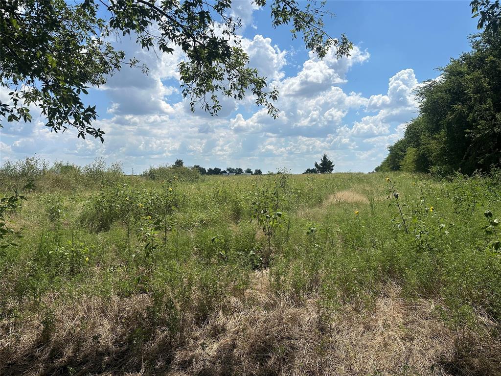 Whitewright Ranch Estates - Land