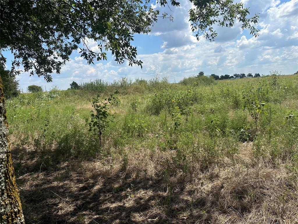 Whitewright Ranch Estates - Land