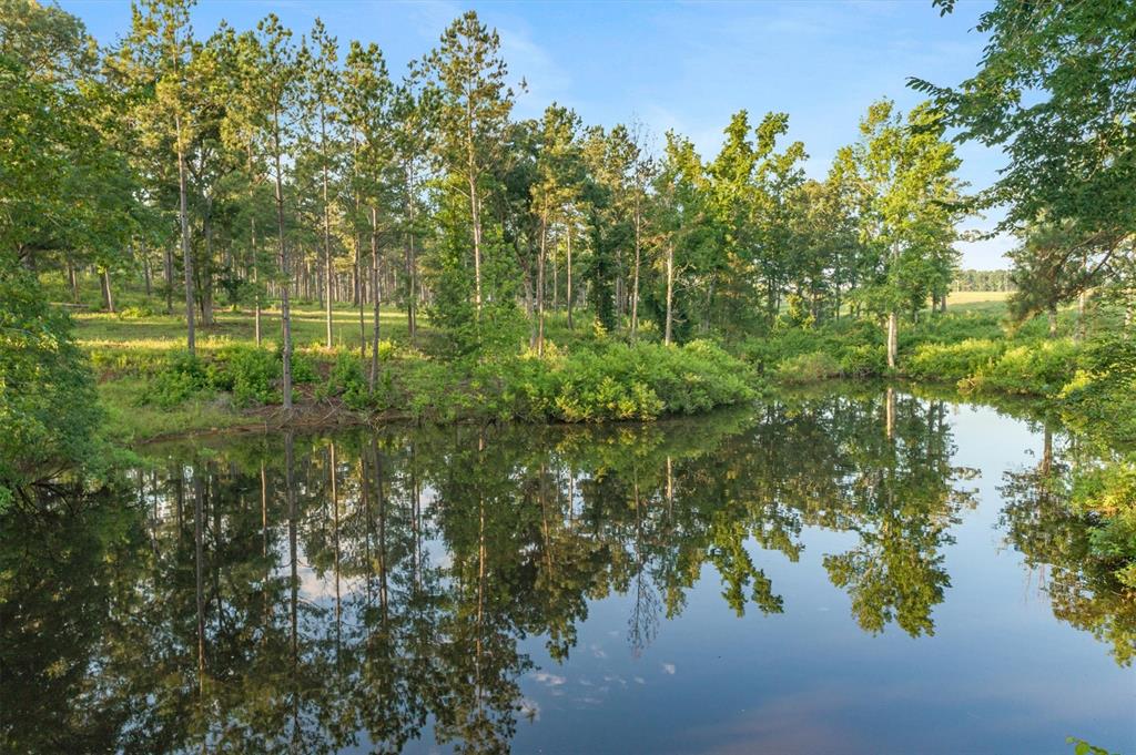 Jose Pineda East Four League G - Farm