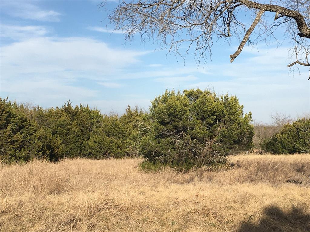 White Bluff #36 - Land