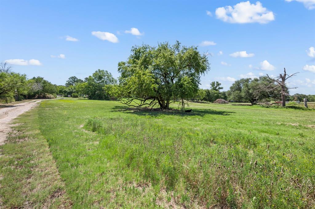 Baker Ruth Survey - Land
