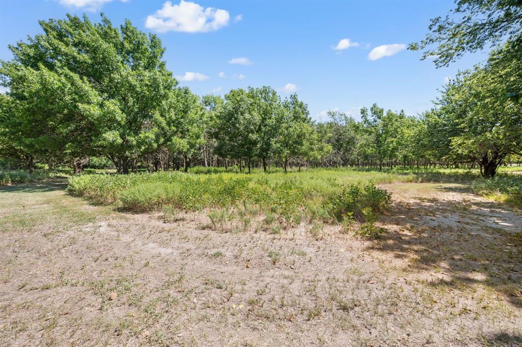 Baker Ruth Survey - Land
