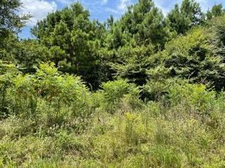 Just under 6 acres located in the Hickory Hill Subdivision, offering an excellent opportunity to build your custom dream home just minutes from downtown Pittsburg. This property provides a peaceful, rural setting while maintaining convenient access to local shopping, dining, and amenities. The lot is a blank canvas, ideal for a variety of custom home designs. Mobile homes are restricted, and deed restrictions are in place to help maintain the integrity of the community. Don’t miss this chance to create your perfect homesite in a desirable location.