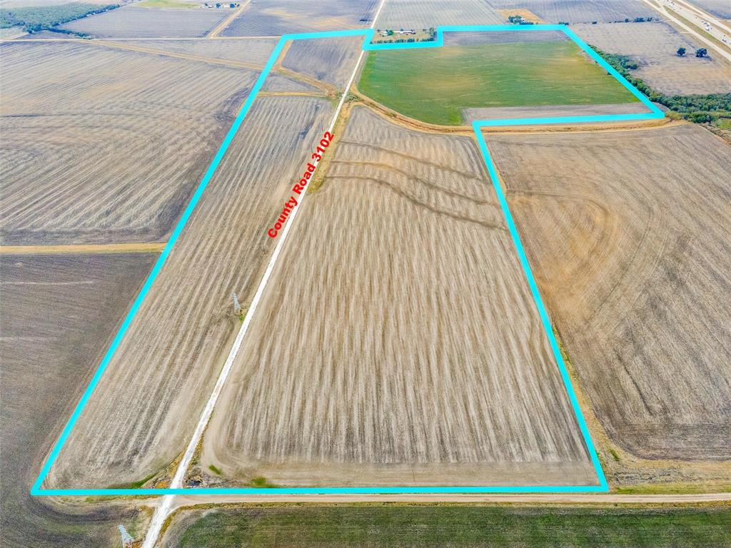 LEON CO SCH LD A-517 #49 TR 1 90.00 AC - Land