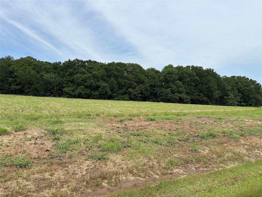 Get the best price now before the price increase.   Once the gates are installed new pricing will be implemented. Welcome to Spout Springs, gated community with 84 estate-style lots, ideal for building your custom dream home. Perfectly situated near Tanglewood Resort at Lake Texoma and Highport, Spout Springs offers an exceptional blend of luxury, recreation, and natural beauty. Enjoy the convenience of being close to Tanglewood Resort and Highport Marina, providing endless opportunities for relaxation, dining, and water activities. Each estate-style lot is spacious, offering ample room for privacy and customization, allowing you to create a home that reflects your unique vision and lifestyle. While enjoying the tranquility of country living, you are just minutes away from shopping, dining, and entertainment options, ensuring you have everything you need close at hand. With its prime location near major attractions and limited availability, Spout Springs represents a valuable investment for those seeking a blend of luxury and convenience. Discover the perfect balance of luxury, comfort, and natural beauty at Spout Springs.