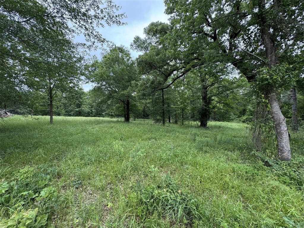 Lake Fork Estates - Land