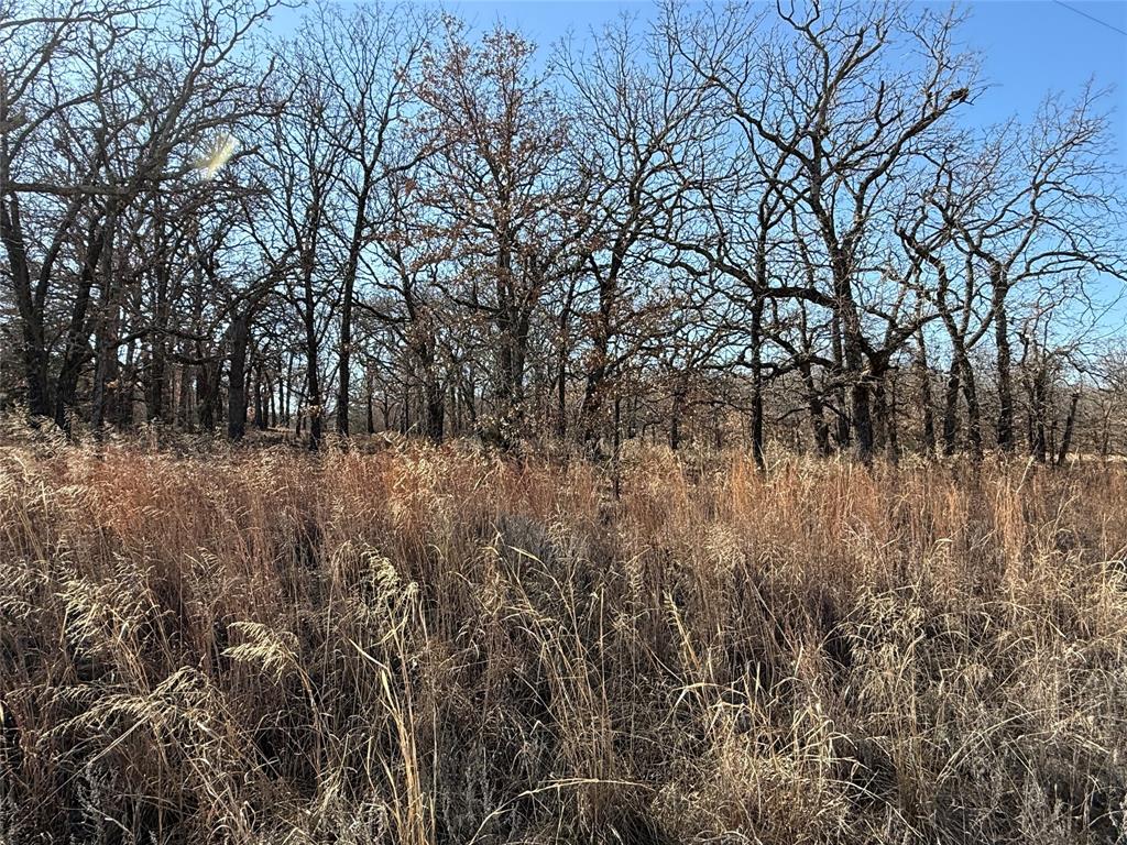 Nocona Hills - Land
