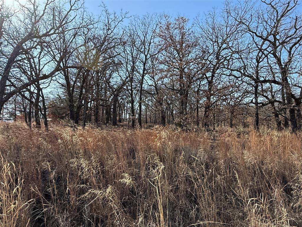 Nocona Hills - Land