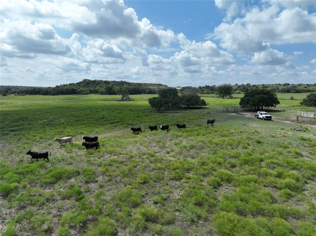 Peters - Farm