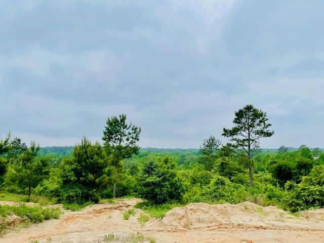 Discover your own private hunting paradise on almost 24 acres of prime, heavily treed land teeming with deer and wildlife. The property features a 2022 doublewide home (3 bedrooms, 2.5 baths) built on 2x6 framing and thoughtfully appointed with coffered ceilings, recessed LED lighting, a warm wood accent wall, and sleek black stainless-steel appliances and fireplace. The primary suite offers a garden tub and separate shower; the home also includes a convenient Jack-and-Jill bathroom and a second primary bedroom — perfect for guests or family. Outside you’ll find a utility shed and a potential second homesite up on the hill with electric already run to the back of the lot. Perfect for hunters, weekenders, or anyone seeking a quiet country escape with room to expand. Schedule your showing today. Buyer and buyer’s agent to verify all information and room sizes.