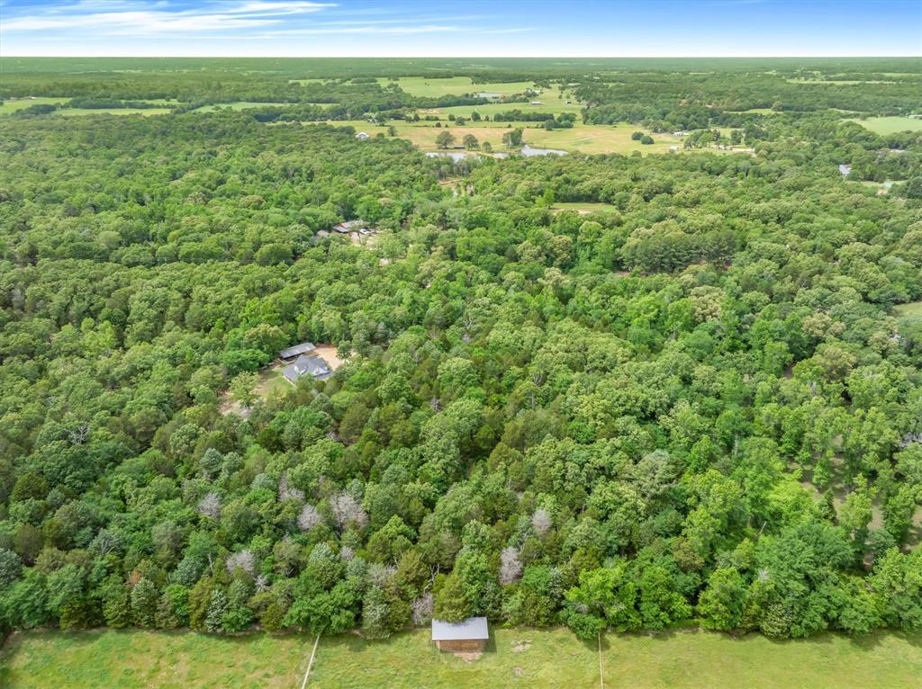 Carew - Residential